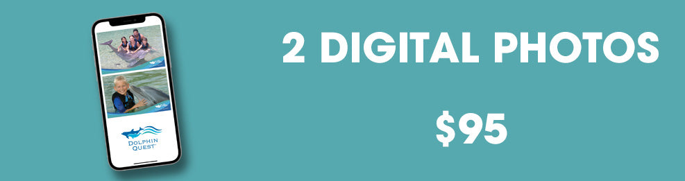 Dolphin Quest 2 Digital Photos Package