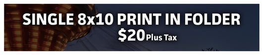 AAM Single 8x10 Print Package