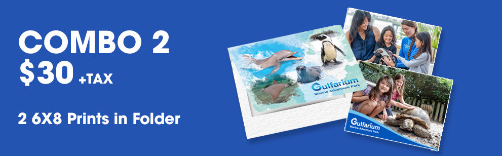 Gulfarium Package 2