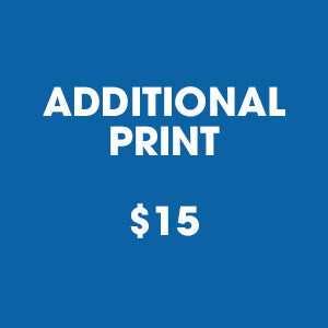 Dolphin Quest 5x7 Print