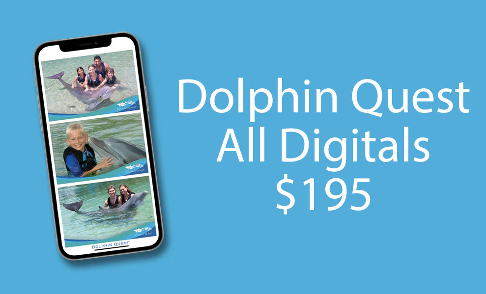 Dolphin Quest Digital All Digital Package