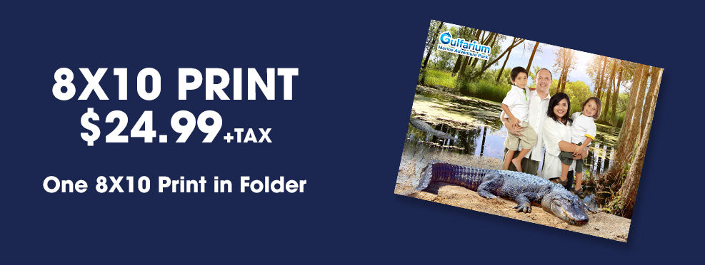 Gulfarium FG 8X10 Package