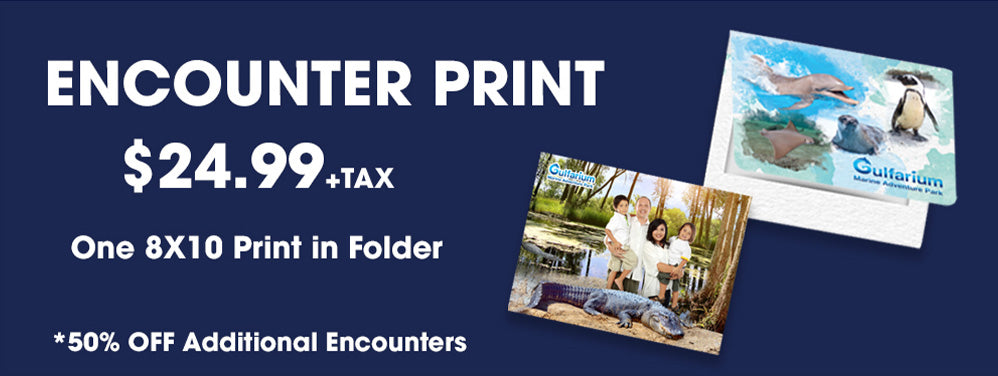 Gulfarium Encounter 8x10 Package