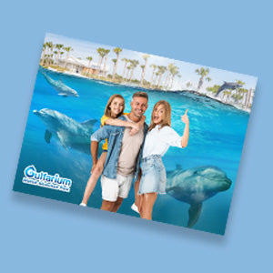 Gulfarium Encounter 6X8 Product