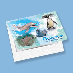 Gulfarium 8X10 Folder Product