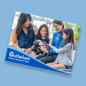 Gulfarium 6X8 Product