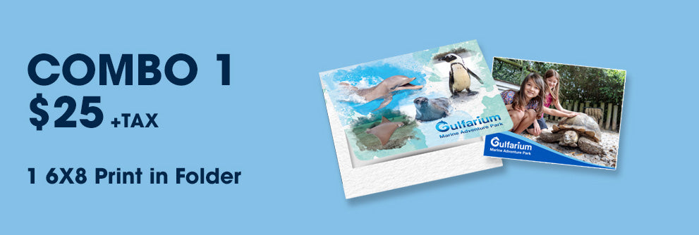 Gulfarium Package 1