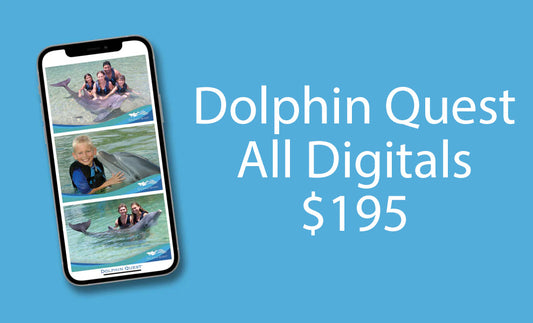 Dolphin Quest Digital All Digital Package