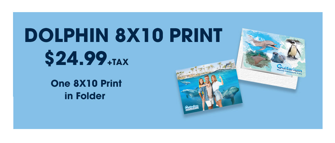 Gulfarium Dolphin 8x10 Package