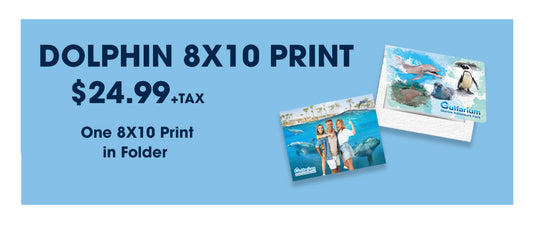 Gulfarium Dolphin 8x10 Package