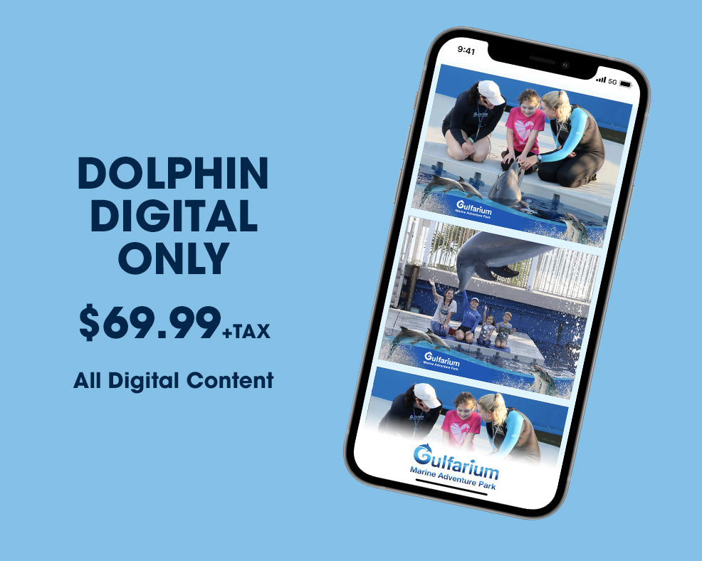 Gulfarium Dolphin Digital Online Package