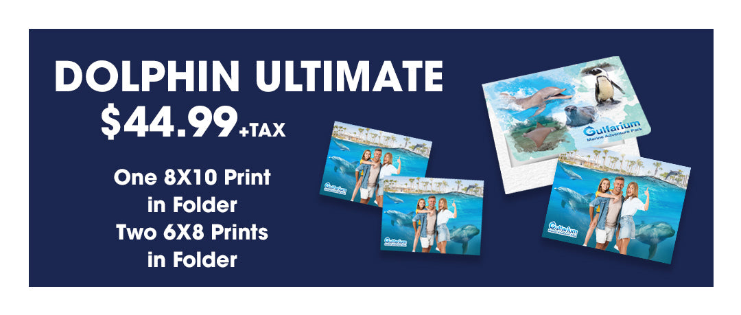Gulfarium Dolphin Package