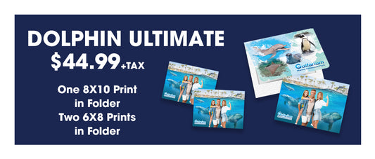 Gulfarium Dolphin Package