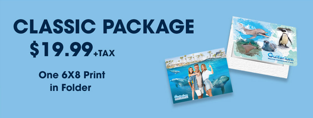 Gulfarium FG Package 3