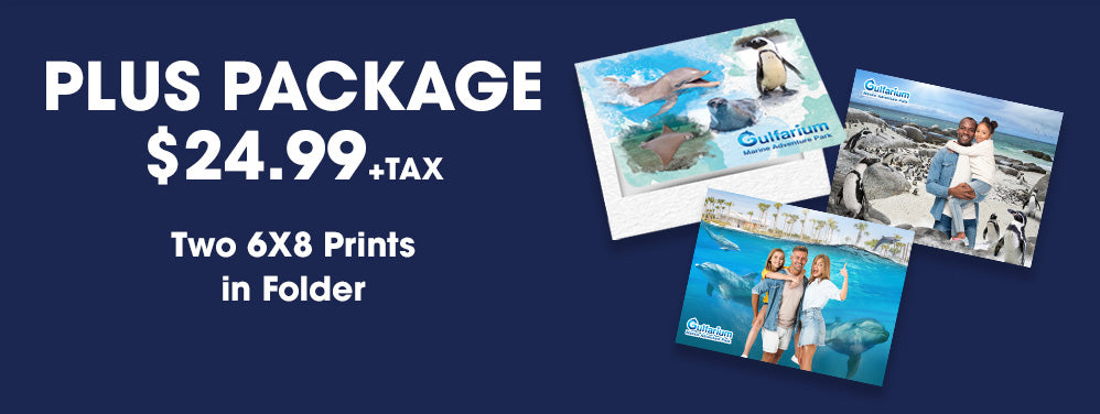Gulfarium FG Package 2