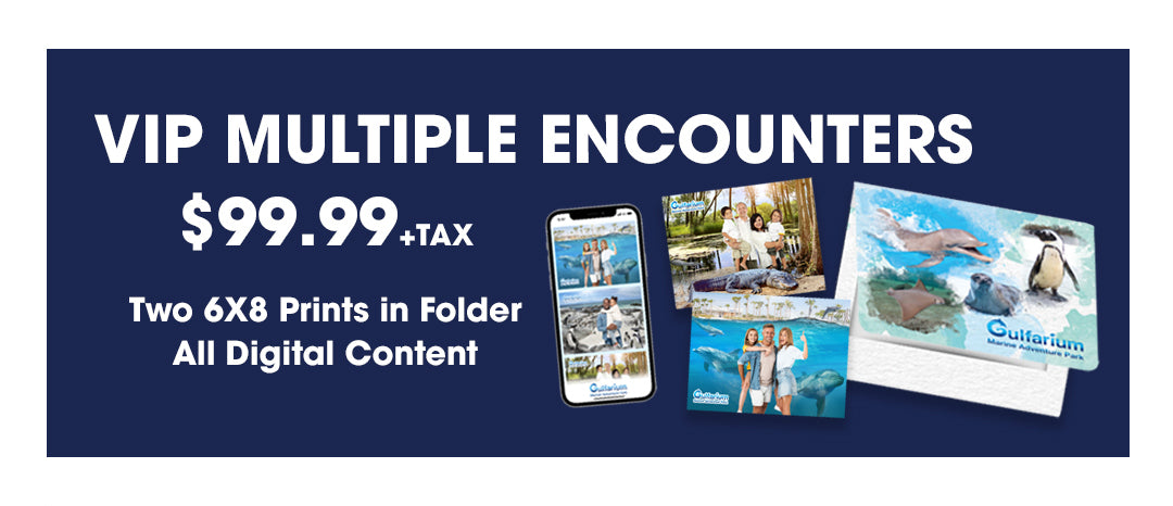 Gulfarium VIP Program Photos Package