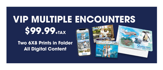 Gulfarium VIP Program Photos Package