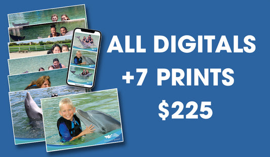 Dolphin Quest All Digitals and 7 Prints Package
